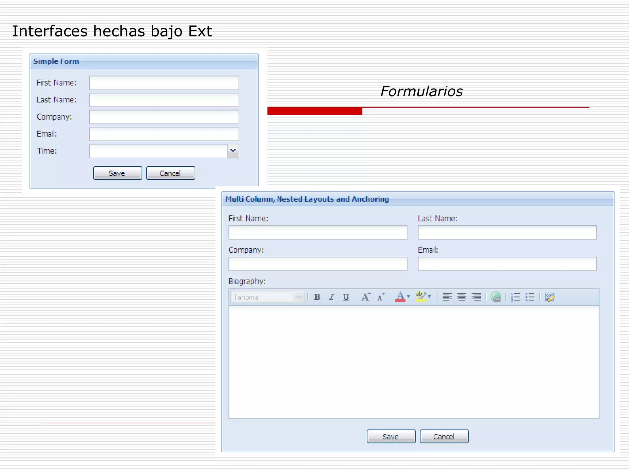 Interfaces hechas bajo Ext Formularios 