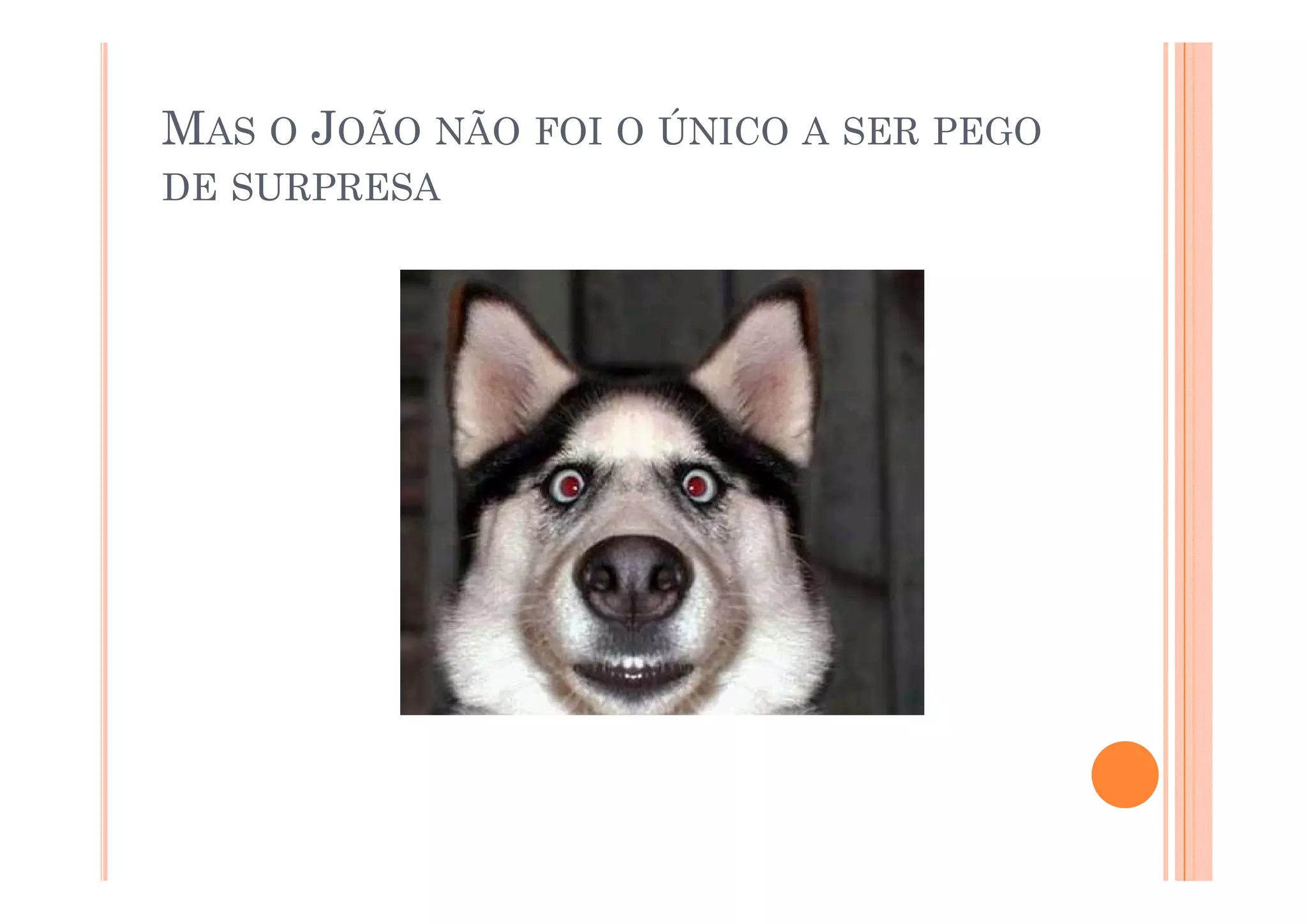 MAS O JOÃO NÃO FOI O ÚNICO A SER PEGO
DE SURPRESA
 