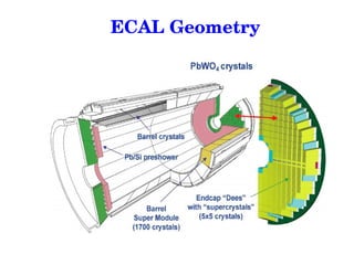 Electromagnetic Calorimeter is also called ECAL | PPT