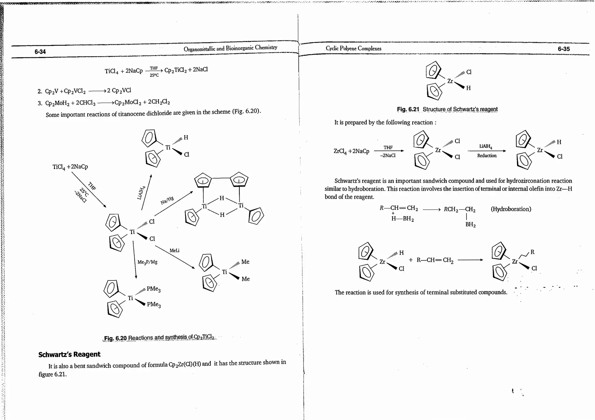 ajay kumar organo.pdf
