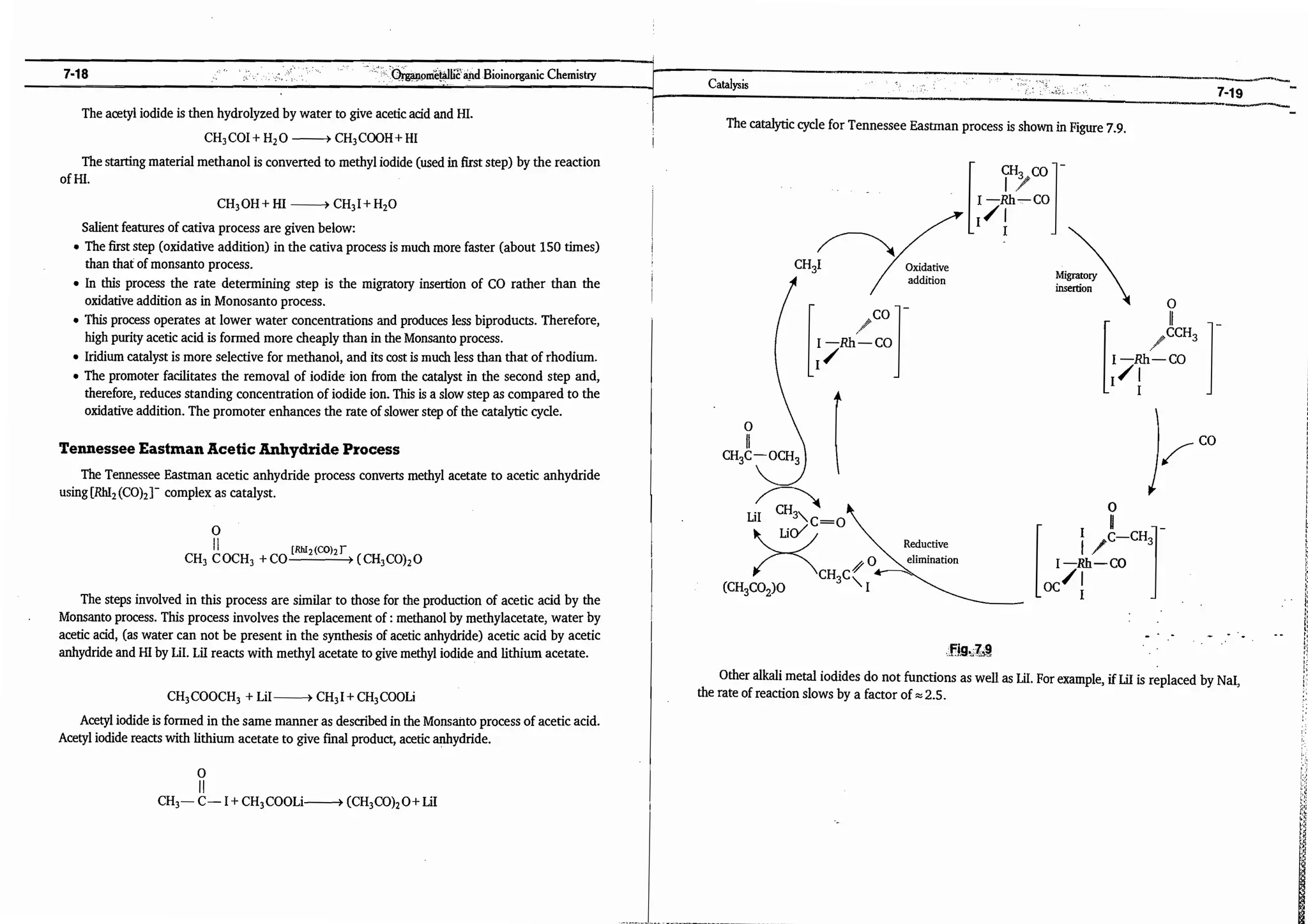ajay kumar organo.pdf
