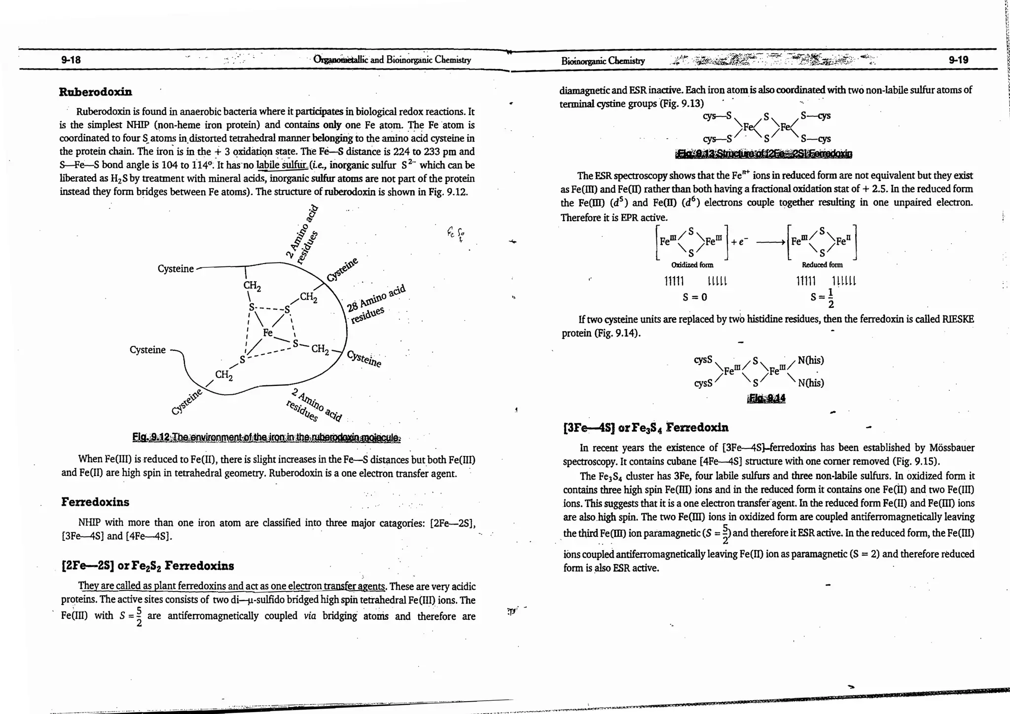 ajay kumar organo.pdf
