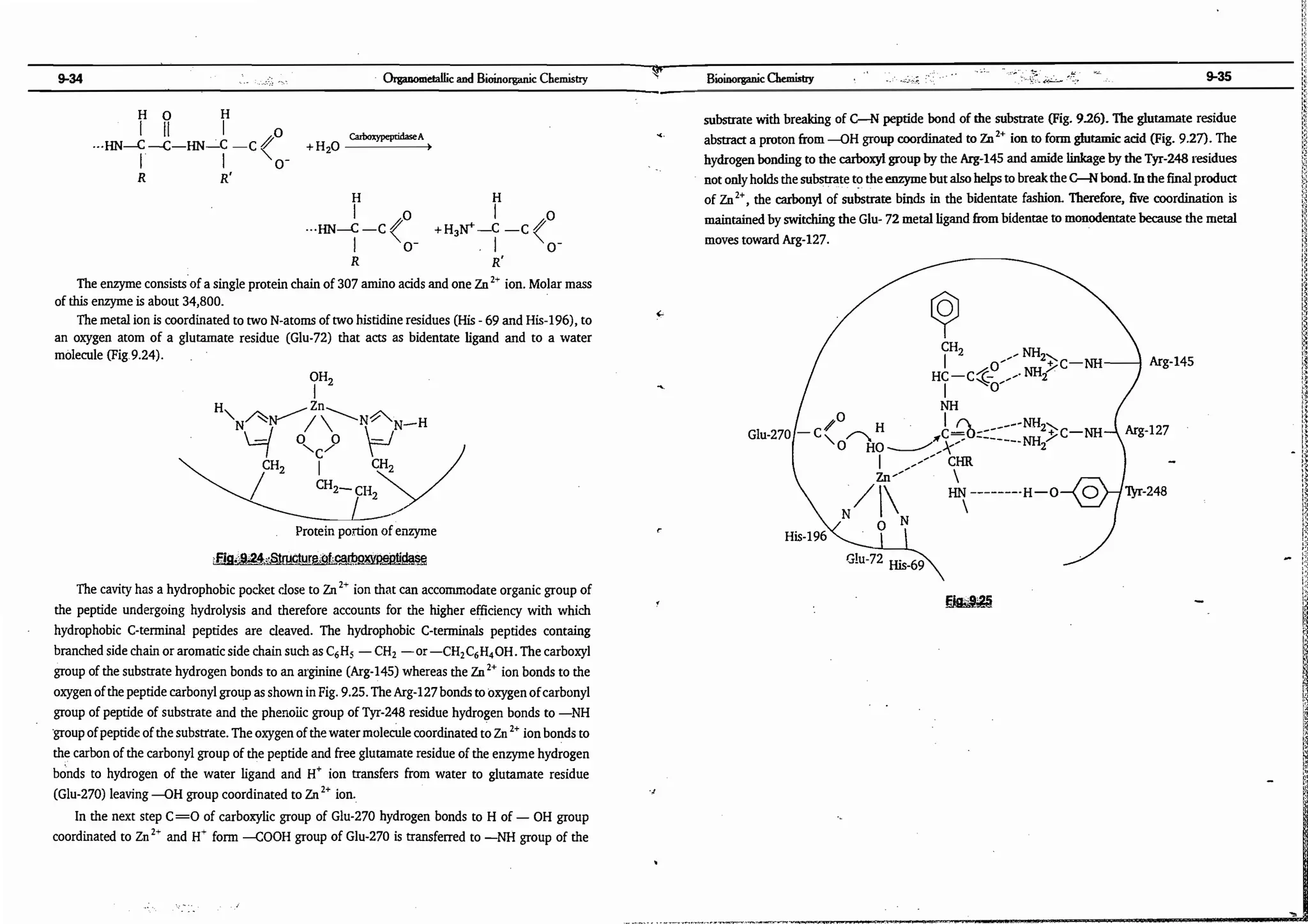 ajay kumar organo.pdf