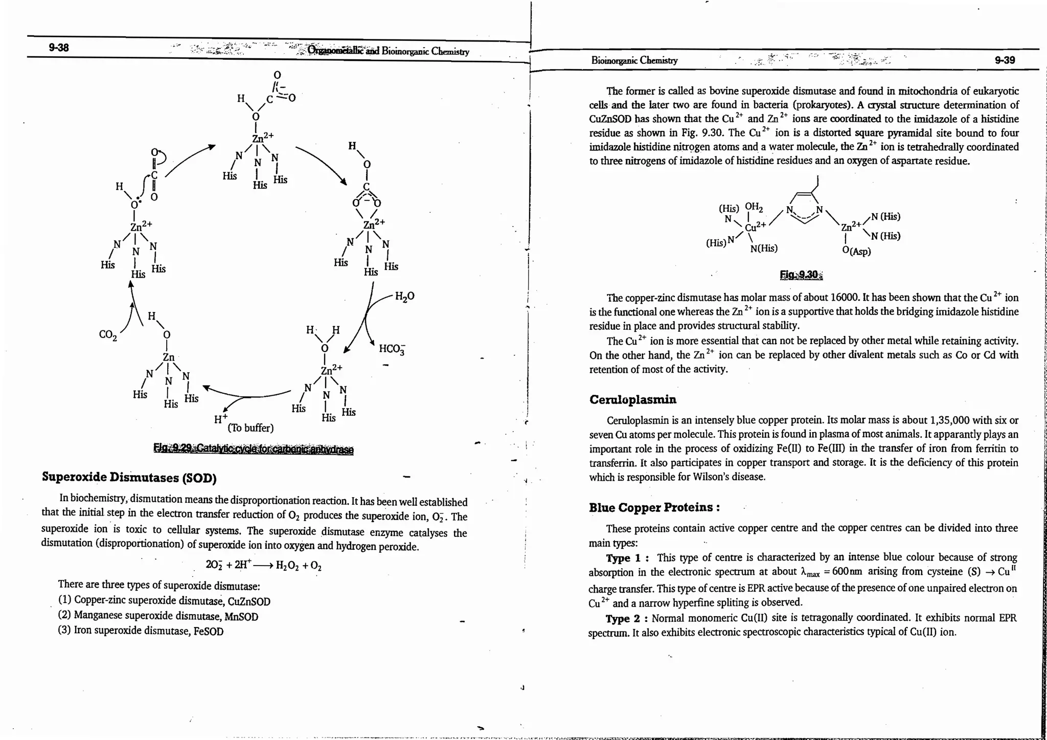 ajay kumar organo.pdf