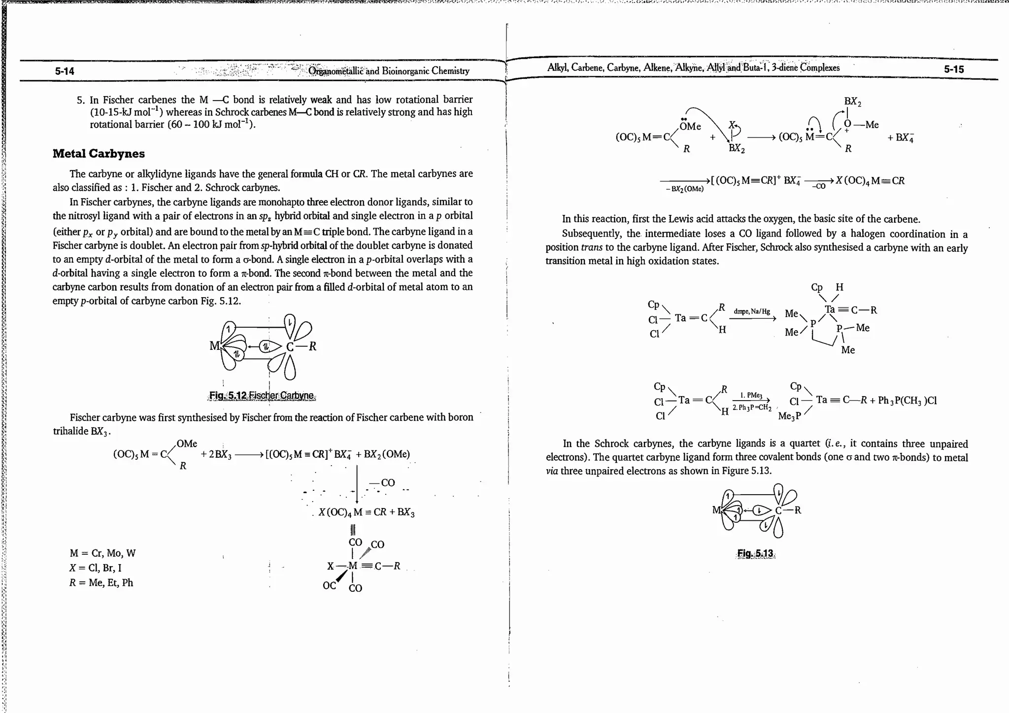 ajay kumar organo.pdf