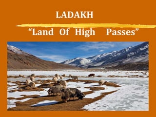 LADAKH
“Land Of High Passes”
 