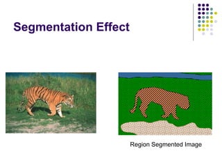 Segmentation Effect

Region Segmented Image

 