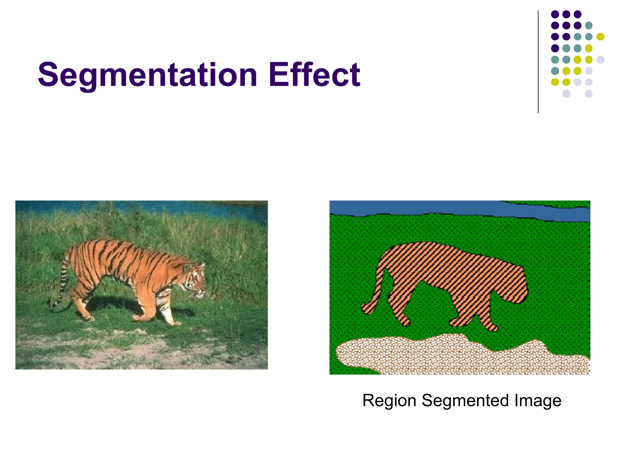 Segmentation Effect

Region Segmented Image

 