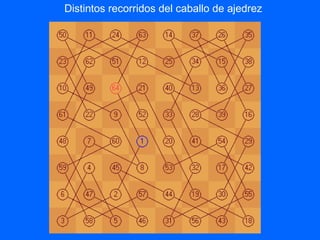 Distintos recorridos del caballo de ajedrez
 