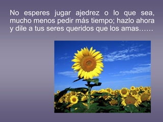 No esperes jugar ajedrez o lo que sea,
mucho menos pedir más tiempo; hazlo ahora
y dile a tus seres queridos que los amas……
 