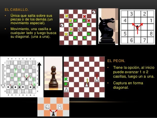 Enciclopedia De Aperturas De Ajedrez Pdf