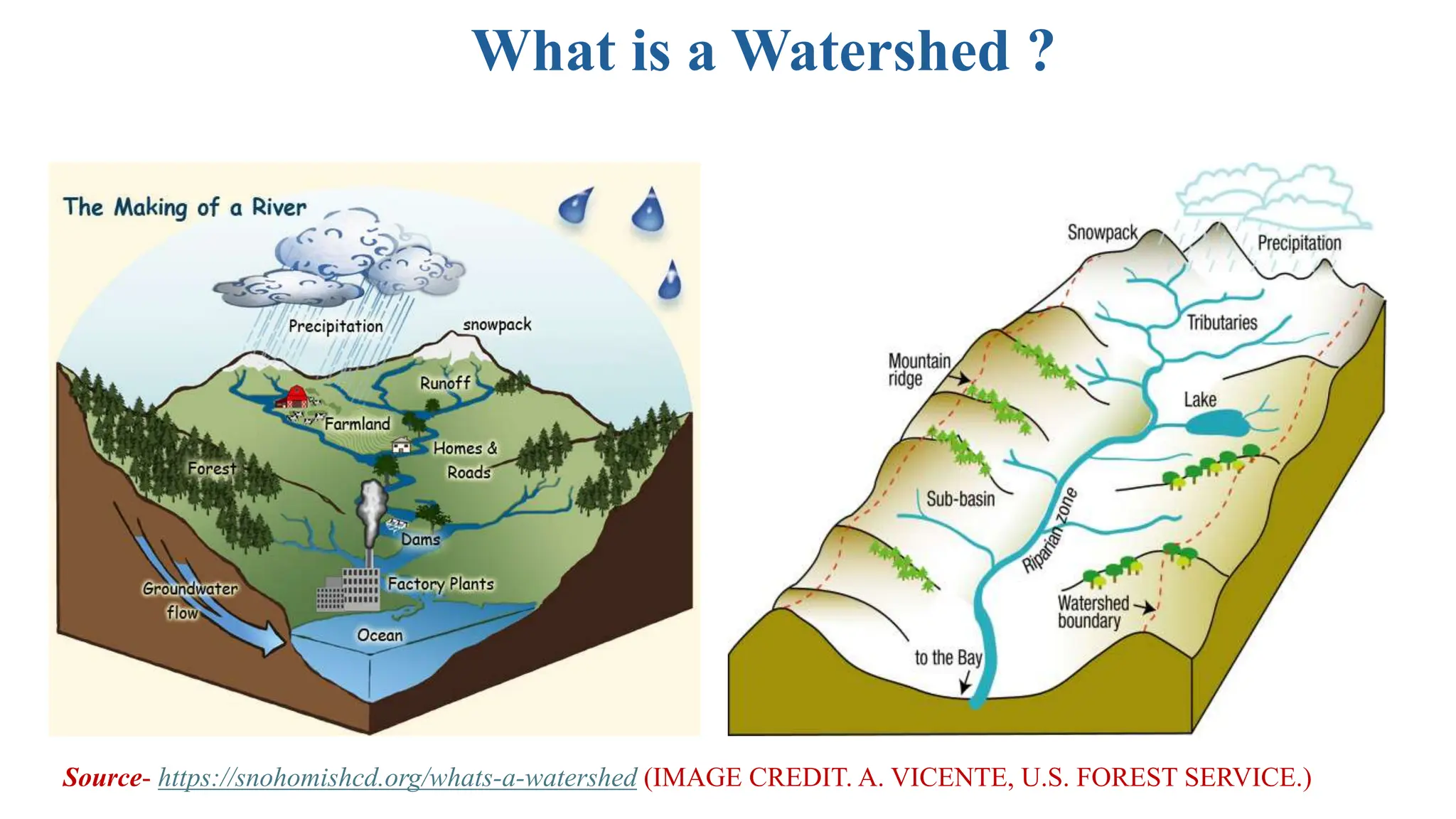 What is a Watershed ?
Source- https://snohomishcd.org/whats-a-watershed (IMAGE CREDIT. A. VICENTE, U.S. FOREST SERVICE.)
 