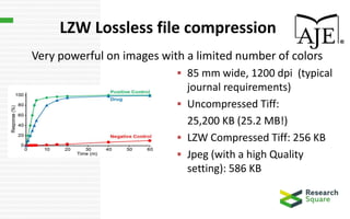 LZW Lossless file compression
Very powerful on images with a limited number of colors
 85 mm wide, 1200 dpi (typical
journal requirements)
 Uncompressed Tiff:
25,200 KB (25.2 MB!)
 LZW Compressed Tiff: 256 KB
 Jpeg (with a high Quality
setting): 586 KB
 