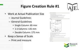 Figure Creation Rule #1
• Work at Actual Publication Size
– Journal Guidelines
– General Guidelines
• Single Column: 85 mm
• 1.5 Columns: 135 mm
• Double Column: 175 mm
• Keep a Sense of Scale
– Print and measure
 