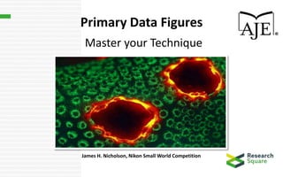 Primary Data Figures
Master your Technique
James H. Nicholson, Nikon Small World Competition
 
