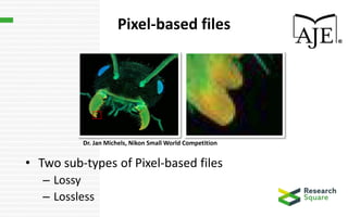 Pixel-based files
• Two sub-types of Pixel-based files
– Lossy
– Lossless
Dr. Jan Michels, Nikon Small World Competition
 