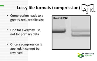 OriginalQuality 4(/12)
Lossy file formats (compression)
• Compression leads to a
greatly reduced file size
• Fine for everyday use,
not for primary data
• Once a compression is
applied, it cannot be
reversed
Quality 2 (/12)Quality 0 (/12)
 
