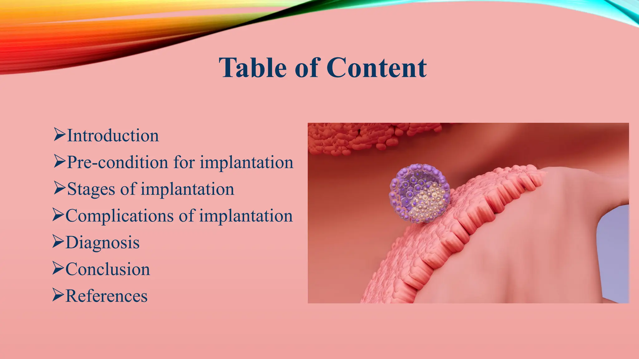 Implantation Example MECHANISM OF IMPLANTATION (DR. AJENTNA ) | PPTX