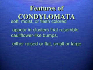 Features of
   CONDYLOMATA
soft, moist, or flesh colored
 appear in clusters that resemble
cauliflower-like bumps,
either raised or flat, small or large
 