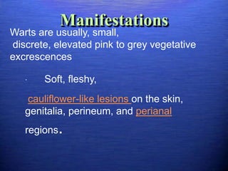 Manifestations
Warts are usually, small,
discrete, elevated pink to grey vegetative
excrescences

   ·   Soft, fleshy,
   cauliflower-like lesions on the skin,
   genitalia, perineum, and perianal
   regions   .
 