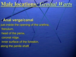 Male locations: Genital Warts

: Anal verge/canal
just inside the opening of the urethra,
 frenulum,
 head of the penis,
 coronal ridge,
 inner surface of the foreskin,
along the penile shaft.
 