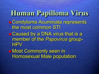 Human Papilloma Virus
 Condyloma  Acuminata represents
  the most common STI
 Caused by a DNA virus that is a
  member of the Papovirus group-
  HPV
 Most Commonly seen in
  Homosexual Male population
 