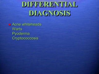 DIFFERENTIAL
          DIAGNOSIS
   Acne whiteheads
    Warts
    Pyoderma
    Cryptococcosis
 