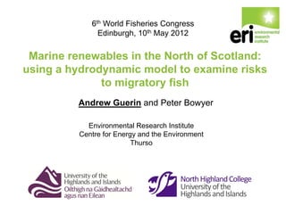6th World Fisheries Congress
Edinburgh, 10th May 2012

Marine renewables in the North of Scotland:
using a hydrodynamic model to examine risks
to migratory fish
Andrew Guerin and Peter Bowyer
Environmental Research Institute
Centre for Energy and the Environment
Thurso

 