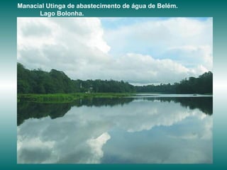 Manacial Utinga de abastecimento de água de Belém.  Lago Bolonha.  