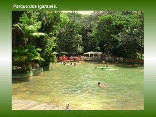 Parque dos Igarapés. 