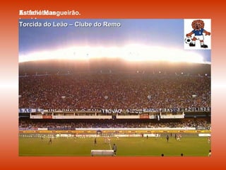 Torcida Cruzmaltina – Tuna Luso Estádio Mangueirão. As fanáticas torcidas Torcida do Papão - Paysandu Torcida do Leão – Clube do Remo 