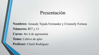 Presentación
Nombres: Amaudy Tejada Fernandez y Crismeily Fortuna
Números: #27 y 13
Curso: 4to A de agronomía
Tema: Cultivo de ajíes
Profesor: Charli Rodríguez
 