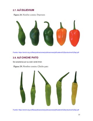 AJIES NATIVOS DE COLOMBIA I - AJIES AMAZONICOS.pdf