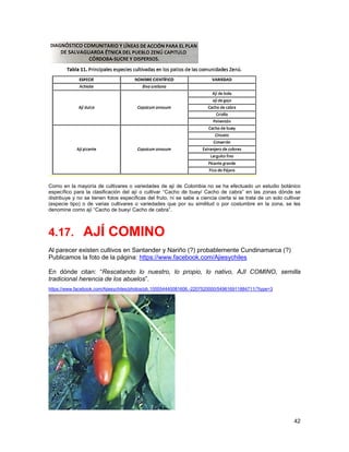AJIES NATIVOS DE COLOMBIA II - AJIES RESTO DEL PAIS.pdf