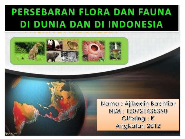 Ajihadin Bachtiar Persebaran Flora Dan Fauna