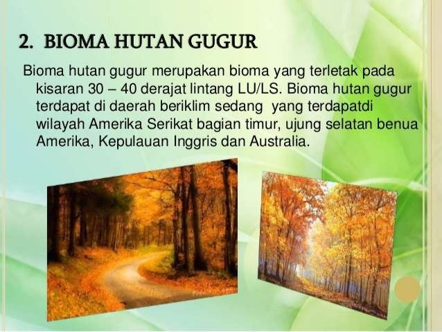 Ajihadin Bachtiar Persebaran Flora Dan Fauna