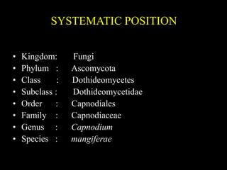 Subclass Systematics AJIN.R.P | PPTX