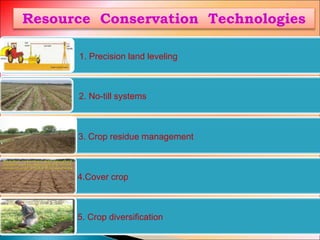 Resource Conservation Technologies
1. Precision land leveling
2. No-till systems
3. Crop residue management
4.Cover crop
5. Crop diversification
 