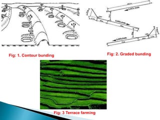 Fig: 1. Contour bunding Fig: 2. Graded bunding
Fig: 3 Terrace farming
 