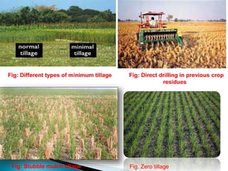 Fig: Different types of minimum tillage Fig: Direct drilling in previous crop
residues
Fig: Stubble mulch tillage Fig. Zero tillage
 