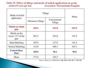 Mode of mulch
application
Tillage
Mean
Minimum Tillage
Conventional
Tillage
Mulch on whole
plot
294.2 212.8 253.5
Mulch on the
lower 1/3rd of the
plot
201.5 193.0 197.2
Strip Mulching 185.4 117.0 151.2
Vertical Mulching 114.8 100.1 107.1
Control Bare
Plots
109.9 96.1 99.0
Mean 177.8 145.5 -
Source : Bhatt et al., (2004) Int. J. Agri. Biol.,vol.6, No.1: 126-128.
 
