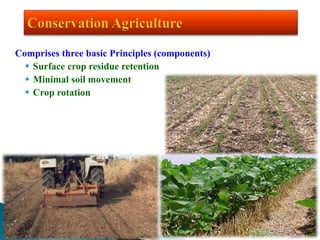 Comprises three basic Principles (components)
 Surface crop residue retention
 Minimal soil movement
 Crop rotation
 