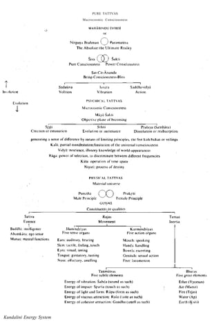 PURE TATTVAS
Macrocosmic Consciousness
Kundalini Energy System
In,)lution
E,,,lulion
Sr~l'
MAHAIlINDU (vOIn)
m
Nirgu1)a Brahman (~ Paramasi~a
The Absolllle Ihe Ultim,lte Reality
Siva ® Sakti
Pure Consciousness Po.....er Consciou,ness
Sadasiva
Volition
Sat-Cit-Ananda
Being-Con~cioll sne,,- Bliss
h;;ua
Vibration
PSY(HIC,L TA.TTVAS
M Lrfotosmic Consclollsness
Muyu Sakli
Objectit plane of becoming
Suddha~idyj
Action
Creallon or emanation
Sthlli
E~olutlon or sustenan,'e
Pralaya (Samhiira)
DissolutIOn or reabsorption
generatmg a sense of difference by means of limiting princlple>. the five kaiichukas or veilings
Kala: partial manifestation/limitation of the universal con,ciou.mess
,
Sattva
Essence
I
Buddhi: Intelligence
Ah,1Il1kiira: ego sen"e
Munas: mental function,
Vidyii: nescience. illusory knowledge of world-appearances
Raga: power of selection. to discriminate between different frequencies
Kala: operation of llme ,pace
Nlyati: process of deMiny
PHYSICAL TATTVAS
Purusha CO Prakriti
Mule Pnnciplc female Principle
GUt;lAS
Constituentslor qualities
Jiian~ndriyas
Five sene organs
Rajas
Movement
Ears: auditory. hearing
Skin: tactile. feeling, touch
Kmm~ndriyas
Five action organs
Mouth: speakmg
Hands: handling
Eye,: Vlsuat seeing Boweb: excreting
Tongue: gustatory. tasting Genitals: sexual action
Nose: olf"ctory. smelling Ft'e1: locomo11On
,
Tamus
Inertia
TanmUlnl~ Bhul~s
Five subtle e1emen1S Fi~e gro;s element>
Energy of vibration: Sabda (sound as such)
Energy of impact: Sparsa (touch as such)
Energy of light and form: Rupa (form as such)
Energy of viscous atlraction: Rusa (taste as such)
Energy of cohesive anraction: Gandhu (smell as such)
Ether (Vyoman)
Air (Marut)
Fire (Tejas)
Water (Ap)
Earth (~'i1i)
 