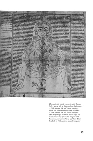 The nadis, the subtle channels of the human
body: above left, a diagram from Rajasthan,
c. 18th century, ink and colour on paper;
above, an illuminated page from Kashmir,
c. 18th century, ink and colour on paper.
The chief energy channels (below left) are
those around the spine: Ida, Pingala and
Sushumna, represented in a leaf from Uttar
Pradesh, c. 18th century, gouache on paper
15
 