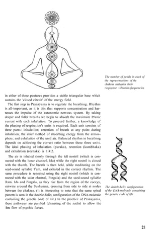 The number of petals in each of
the representations of the
chakras indicates their
respective vibration-frequencies
in either of these postures provides a stable triangular base which
sustains the 'closed circuit' of the energy field.
The first step in Pranayama is to regulate the breathing. Rhythm
is all-important, as it is this that supports concentration and har-
nesses the impulse of the autonomic nervous system. By taking
deeper and fuller breaths we begin to absorb the maximum Pranic
current with each inhalation. To proceed further, a knowledge of
the phasing of respiration's units is required. Each unit consists of
three parts: inhalation; retention of breath at any point during
inhalation, the chief method of absorbing energy from the atmos-
phere; and exhalation of the used air. Balanced rhythm in breathing
depends on achieving the correct ratio between these three units.
The ideal phasing of inhalation (puraka), retention (kumbhaka)
and exhalation (rechaka) is 1:4:2.
The air is inhaled slowly through the left nostril (which is con-
nected with the lunar channel, Ida) while the right nostril is closed
with the thumb. The breath is then held, while meditating on the
seed-sound syllable Yam, and exhaled in the correct rhythm. The
same procedure is repeated using the right nostril (which is con-
nected with the solar channel, Pingala) and the seed-sound syllable
Ram. Ida and Pingala, as they rise from the region of the coccyx,
entwine around the Sushunma, crossing from side to side at nodes
between the chakras. (It is interesting to note that the same spiral
pattern is seen in the double-helix configuration of the DNA-molecule
containing the genetic code of life.) In the practice of Pranayama,
these pathways are purified (cleansing of the nadis) to allow the
free flow of psychic forces.
The double-helix configuration
of the DNA-molecule containing
the genetic code of life
21
 