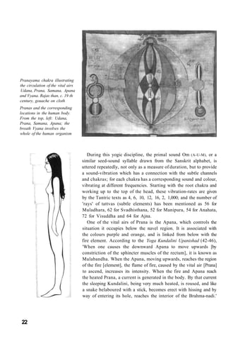 Pranayama chakra illustrating
the circulation of the vital airs
Udana, Prana, Samana, Apana
and Vyana. Rajas than, c. 19 th
century, gouache on cloth
Pranas and the corresponding
locations in the human body.
From the top, left: Udana,
Prana, Samana, Apana; the
breath Vyana involves the
whole of the human organism
During this yogic discipline, the primal sound Om (A-U-M), or a
similar seed-sound syllable drawn from the Sanskrit alphabet, is
uttered repeatedly, not only as a measure of duration, but to provide
a sound-vibration which has a connection with the subtle channels
and chakras; for each chakra has a corresponding sound and colour,
vibrating at different frequencies. Starting with the root chakra and
working up to the top of the head, these vibration-rates are given
by the Tantric texts as 4, 6, 10, 12, 16, 2, 1,000; and the number of
'rays' of tattvas (subtle elements) has been mentioned as 56 for
Muladhara, 62 for Svadhisthana, 52 for Manipura, 54 for Anahata,
72 for Visuddha and 64 for Ajna.
One of the vital airs of Prana is the Apana, which controls the
situation it occupies below the navel region. It is associated with
the colours purple and orange, and is linked from below with the
fire element. According to the Yoga Kundalini Upanishad (42-46),
'When one causes the downward Apana to move upwards [by
constriction of the sphincter muscles of the rectum], it is known as
Mulabandha. When the Apana, moving upwards, reaches the region
of the fire [element], the flame of fire, caused by the vital air [Prana]
to ascend, increases its intensity. When the fire and Apana reach
the heated Prana, a current is generated in the body. By that current
the sleeping Kundalini, being very much heated, is roused, and like
a snake belaboured with a stick, becomes erect with hissing and by
way of entering its hole, reaches the interior of the Brahma-nadi.'
22
 