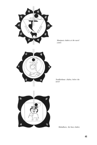 Manipura chakra at the navel
centre
Svadhisthana chakra, below the
navel
Muladhara, the base chakra
41
 