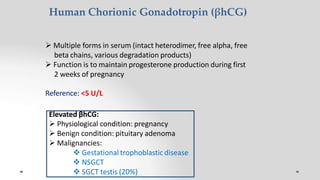 Human Chorionic Gonadotropin (βhCG)
 Multiple forms in serum (intact heterodimer, free alpha, free
beta chains, various degradation products)
 Function is to maintain progesterone production during first
2 weeks of pregnancy
Reference: <5 U/L
Elevated βhCG:
 Physiological condition: pregnancy
 Benign condition: pituitary adenoma
 Malignancies:
 Gestational trophoblastic disease
 NSGCT
 SGCT testis (20%)
 