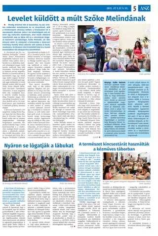 ASZ
5
2021. JÚLIUS 23.
Nyáron se lógatják a lábukat
A Sun-Dome SE közössége a
szünidő aktív eltöltésében és a
gyermekek energiájának hasz-
nos levezetésében hisz, ezért a
közelmúltban kéthetes vizsga-
felkészítő napközis tábort tar-
tottak az egyesület székhelyén
egy osztálynyi fiatalnak.
Takács Miklós elnök arról
számolt be lapunknak, hogy a
kis karatékák napi két edzésen
gyakorolhatták a saját övfoko-
zatuknak megfelelő vizsgaanya-
got. A fennmaradó időben kre-
atív foglalkozásokon vehettek
részt a tanítványok, sok játékkal
és regeneráló programokkal. A
tábort ifjabb Takács Miklós és
Takács Helga tartotta, két élver-
senyző, Erdélyi Virág és Szlotta
Blanka közreműködésével.
A gyermekek és a szülők vis�-
szajelzései alapján, mindenki
nagyszerűen érezte magát, így
az edzők bíztak benne, hogy a
befektetett munka a vizsgaered-
ményeken is meglátszik majd.
Nem is kellett csalódniuk. A
tábornak a szabadidő hasznos
eltöltésén túl ráhangoló funkci-
ója is volt, ugyanis az egyesület
tagjai ekkor készültek fel közel-
gő övvizsgájukra, mely mindig
fontos mérföldkő a sportágat
űzők életében.
Az egyesület elnöke elmond-
ta, hogy sokan jelentkeztek a
tanítványok közül a megméret-
tetésre, talán a járványhelyzet
enyhülésének is köszönhetően,
hiszen mostanság nem volt le-
hetőség ilyen programot meg-
tartani. A résztvevők többsége,
egészen pontosan 43-an sikere-
sen teljesítették a kihívást, így
örülhetnek a következő foko-
zatnak. A fehér övtől a barnáig
majd’ minden kategóriában
születtek sikerek, amit Takács
Miklós nem kis büszkeséggel
nyugtázott. Kiemelte, hogy a
Sun-Dome „család” várja az
új jelentkezőket is. Bővebb in-
formáció a +36/70/633-4169-es
számon kérhető tőle a részvételi
lehetőségekkel, kapcsolatban.
SzR. 
Az övvizsga mindenkinek sikerült (Fotó: Sun-Dome SE)
Levelet küldött a múlt Szőke Melindának
 Mindig örömmel tölt el bennünket, ha oly’ érté-
kes embereket mutathatunk be az olvasóknak, akik
a mindennapok rohanása mellett, a hivatásukon túl is
maradandót alkotnak. Július 3-án lehetőségünk volt ott
lenni egy kulturális eseményen, ahol másik oldaláról
ismerhettük meg az Ajkán élő és a városházán dolgo-
zó közismert személyiséget, Szőke Melindát, aki idén
könyvet adott ki, amelynek a bemutatója a devecseri
Esterházy-kastély belső udvarán volt számos jó barát,
munkatárs, történelem iránt érdeklődő helyi és a Somló
koszorújában élő lokálpatrióta jelenlétében.
A „Hazájának igaz fia, csa-
ládjának boldogsága” címmel
illetett könyv bemutatójára
megfelelőbb helyszínt nem is
lehetett volna találni, mint a
barokk és az eklektikus építé-
szet stílusjegyeit magán viselő
kastély, amelynek falai több
évszázados Esterházy-levegőt
és kultúrát szívtak magukba.
Részben az Esterházyaknak is
köszönhető, hogy egy másik
nagy múltú magyar történel-
mi család a Zichyek egyik ágá-
nak tagja letelepedett a Somló
lábánál, amikor 1889-ben gróf
Zichy István állandó lakhe-
lyéül Kis-Jenőt (Somlójenő)
választotta. A most megjelent
kötet róla, családjáról, bará-
ti köréről, továbbá hazánk,
főleg Veszprém megye XIX.
századvégi társadalmi és poli-
tikai életéről szól az író rend-
kívül precíz, apró részletekre
is kiterjedő gyűjtése, kutatása
alapján.
A devecseri bemutatót a két
meghívott vendég Biróné Bog-
nár Ágnes két Ave Maria előa-
dása és Kövesiné Vajda Ivett
kísérő zenéje már az esemény
megkezdésekor különleges
hangulatúvá varázsolta. Sőt,
amikor kiderült, hogy a Zichy
leszármazottak is a rendez-
vény vendégei között vannak,
akkor a jelenlévők érdeklő-
dése tovább fokozódott. Zichi
és Vásonkeői gróf Zichy Pál, a
Magyar Történelmi Családok
Egyesületének az elnöke és Zi-
chi és Vásonkeői gróf dr. Zichy
Mihály történész, az Országos
Széchenyi Könyvtár kutatója
és felesége tisztelte meg a be-
mutatót. (Biz’ nem minden
nap találkozik az ember a
magyar történelmi családok
grófjaival.) Mégis Szőke Me-
linda megkapó, tartalmas,
bő egyórás meséje nyújtotta a
rendkívüli élményt, amellyel
bevezette a hallgatóságot a sa-
ját kiadású könyvének fontos-
nak tartott részleteibe.
Nem egyszer elcsodálko-
zunk, hogy az élet milyen
izgalmas dolgokat tud pro-
dukálni és, ha még a sors-fak-
tornak nevezett sorsszerűség
is közbelép, amely pozitívan
befolyásolja az emberben lévő
tehetség kibontakozását, ak-
kor egészen káprázatos vég-
eredmény születik. Így történt
ez jelen esetben is, amikor
a szerző tudomást szerzett
egy, a Somlójenő és Tüskevár
határán, az erdő szélen talál-
ható grófi sírról. A történész
kutatói vénája, kíváncsisága
számos kérdést fogalmazott
meg ott a fellelt sír előtt, ame-
lyekre éveken keresztül kitar-
tó, precíz munkával kereste a
válaszokat. „Ki volt ő? Honnan
érkezett? Miért itt a tüskevári
legelő szélén temették el és mi-
ért nem a temetőben nyugszik?
Volt-e családja? Ha igen, akkor
a leszármazottaknak van-e tu-
domása felmenőjük sírhelyé-
ről…?” Öt év, főleg a világhá-
lón fellelhető újságcikkek (mi-
nimális egyéb források mel-
lett) gyűjtésének és az érintett
helyszínek felkeresésének
eredményeként született meg
a nagyon igényes, szinte min-
den kérdésre választ adó kötet.
Az olvasó a szerző segítsé-
gével előbányászhatja a fele-
dés homályából a Zichyekről
tanultakat, a családfát, annak
kiterjedt ágait (különösen az
adonyi ágat, amelynek a le-
származottja gróf Zichy Ist-
ván) és hazánk életében betöl-
tött szerepüket. Megismerheti
hősünk Kis-Jenőre érkezése
előtti éveit, a házasságköté-
sét, a magyar lótenyésztésben
való szerepét, helytállását.
A Somló környékén eltöltött
hat évet, amikor is szoros ba-
rátságba lépett főleg gróf Es-
terházy Ferencz-cel, továbbá
gróf Erdődy Sándorral és gróf
Zichy-Ferraris Lajossal (távoli
rokon). Közös társadalmi éle-
tüket, vadászataikat és a vár-
megye törvényhozásában be-
töltött szerepüket is nyomon
lehet követni.
Sajnos rövid időt adott a
grófnak a Mindenható, hiszen
1895-ben 42 évesen szívszél-
hűdés következtében hunyt el
a kőszegi szanatóriumban egy
gyógykezelése alkalmával.
Halála váratlanul érte család-
ját, feleségét és szeretett fiát,
akivel bensőséges kapcsolata
volt. Gyászjelentésben olvas-
ható a kötet címét adó idézet:
„Hazájának igaz fia, családjá-
nak boldogsága”.
Szőke Melinda számos te-
kintetben egyéni módon kö-
zelítette meg a gróf élettörté-
netét. Egyedi, eddig fel nem
dolgozott kutatási témában
(talán tudat alatt) eloszlatta
azokat a sztereotípiákat, ame-
lyeket a második világháború
után belénk tápláltak a „kirá-
lyok, hercegek, grófok” leigázó,
népelnyomó életmódját. Az
ő grófjai javakat osztottak a
falvaiknak. Intézkedéseikkel
a nép érdekeit, életük jobbá
tételét szolgálták. A bajban,
lehetett az tűzvész, vagy ár-
víz élen jártak a mentésben.
(Akaratlanul is Jókai alakjai
villantak fel előttünk.)
Köszönjük a könyv írójá-
nak, hogy elvitt bennünket a
Somlót körülölelő falvak rég-
múlt világába és megörökítet-
te egy letűnt kor mindennap-
jait. Akit érdekel szűkebb tör-
ténelmünk e kis töredéke, az a
Nagy László Városi Könyvtár
és Szabadidő Központ Infor-
mációs pultjánál megvásá-
rolhatja a kötetet. Aki, pedig
meg szeretné ismerni a hely-
színeket, azok keljenek útra
és látogassák meg a könyvben
szereplő kastélyokat a Somló
koszorújában!
Cs.B.É. 
Gróf Zichy Pál is méltatta a kötetet (Fotó: Györkös)
Névjegy: Szőke Melinda
1973-ban született Tüske-
váron. Szülőfaluja általá-
nos iskolájában az első
történelem órák egyikén,
úgy 11 éves korában dön-
tötte el, hogy történelem
szakos tanár szeretne
lenni. Ennek az álomnak
a beteljesülését nagy-
szerű tanárok segítették
mind az általános isko-
lában, mind a pápai Türr
István Gimnáziumban. Az
álom 1997-ben teljesült,
ekkor szerzett történe-
lem – levéltár-technikusi
végzettséget a szombat-
helyi Berzsenyi Dániel Ta-
nárképző Főiskolán. Mivel
szülőfaluja helytörténete
egész kiskora óta érdekel-
te, ezért diplomamunkáját
a tüskevári pálos kolostor
történetéről írta.
A tanári pályát három év
után elhagyta, 2000-ben
igazgatásszervezői vég-
zettséget szerezett az Ál-
lamigazgatási Főiskolán
és azóta a közigazgatás-
ban dolgozik. Ezen a te-
rületen előbb a Corvinus
Egyetem Közigazgatási
karán választási szak-
értői, később a Nemzeti
Közszolgálati Egyetemen
okleveles közigazgatási
szakértői végzettségekre
tett szert. 21 éve az Ajkai
Közös Önkormányzati Hi-
vatalban dolgozik, az Ön-
kormányzati Iroda vezeté-
sét látja el. Kenyérkereső
munkája mellett a törté-
nelem és a helytörténeti
kutatás iránti érdeklődése
megmaradt.
A természet kincsestárát használták
a kézműves táborban
A fiatal korosztálynak való-
színűleg nem hangzik isme-
rősen a „Ha végre itt a nyár
és meleg az idő…” kezdetű
vidám kis dal, ami leginkább
a strand hangulatát idézi -
azonban nyáron nem csak a
medence hívogat bennünket.
Ilyenkor zajlanak a különbö-
ző táboroztatások is, ami a
szülőknek éppen úgy jelent-
het könnyebbséget, mint a
gyerekeknek izgalmas időtöl-
tést. Erre szolgált a vmk által
szervezett kézműves tábor is,
ami július első hetében kínált
kreatív időtöltést az ajkai ál-
talános iskolásoknak. Hor-
váth Rita művelődésszervező
és Szalai Lászlóné Rita peda-
gógus irányította, segítette és
tanította a csemetéket az al-
kotások elkészítésében.
Többféle alapanyaggal dol-
goztak a hét során, a bőr mel-
lett többek között papírral,
agyaggal, textillel, filccel, sőt
csokoládéval is. Kihasznál-
ták a levendula szezont is. A
virágokat dekorációként al-
kalmazták: textilszív készült
levendulával, ami falidíszként
szolgálhat. Zsebkendőtartót és
szütyőt varrtak bőrből, úgy-
nevezett „szironyozás” techni-
kával. A kerek pizzák papírból
készültek, az állatfigurákat áb-
rázoló kulcstartók filcből (utób-
bi Harczi Ilona segítségével).
Egyebek mellett váza is készült
zsákanyaggal, csipkével, illetve
kavicsos mécsestartó.
A táborozó diákcsapathoz
vendégalkotók is érkeztek.
Gálné Kapás Krisztina mo-
noszlói keramikus az agya-
gozás technikájába nyújtott
betekintést a gyerekeknek:
Krisztina a munkákat kiégeti,
majd mázazza, kiégeti és ezu-
tán kerülhet vissza a kis „mű-
vészekhez” a fali virágtartó.
Patakfalvi Andrea cukrász-
mester segítségével a népszerű
mignon emberkéket készítet-
ték el az ügyes kezű részvevők
– mégpedig csokoládéból, az
édesszájúak örömére.
A kirándulás sem maradha-
tott ki a programból. A gyere-
kek a Hubertus Erdészeti Er-
dei Iskolához látogattak, ahol
kísérőjükkel bebarangolták
a környéket. A Pokol-lik bar-
langot sem hagyták ki a látni-
valókból.
A táborzárás szó szerint
édesre sikerült, erre garanciát
jelentettek a Kristály Cukrász-
da finomságai. A gyerkőcök
számára a vidám, zenés han-
gulatról Szélessy Balázs gon-
doskodott.
(A művelődési központ a
következő táborát július végén
tartja). RÉ 
Az ügyes kezű gyerek szorgosan dolgoztak a kellemesen hűvös
aulában (Fotó: Györkös)
 