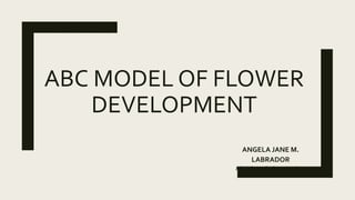 ABC MODEL OF FLOWER
DEVELOPMENT
ANGELA JANE M.
LABRADOR
Ph. D in Agriculture Student
 